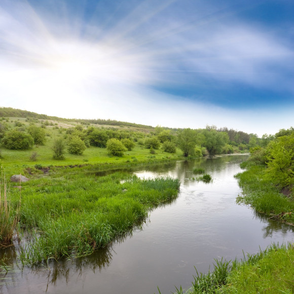 Antea Group UK Expands Service Portfolio with Launch of Ecological Services