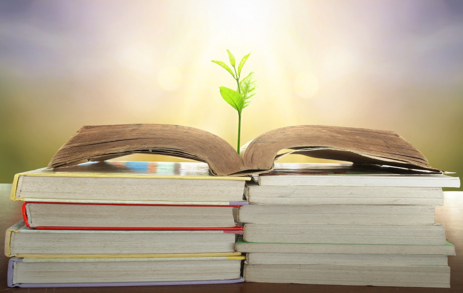 Book Stack