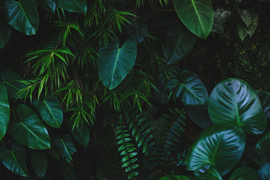 Antea Group UK Sponsors Season Three of Inogen Alliance's Podcast Rethinking EHS